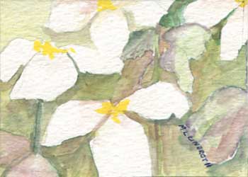 "Pristine" by Mary Lou Lindroth, Rockton IL - Watercolor - SOLD